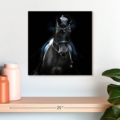 Brampt Black Trakehner Horse