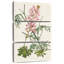 Harnek antique botanique I crème-108660851