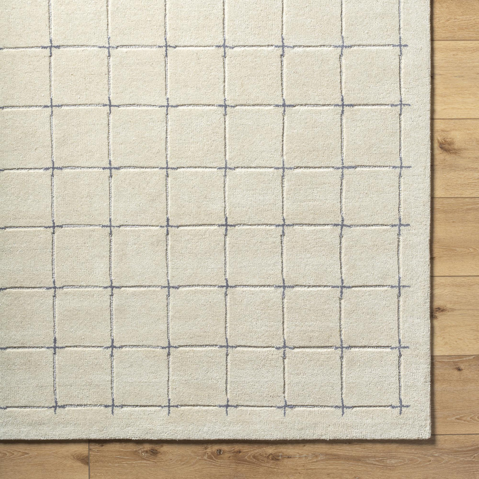 Mallory Gray Hand Tufted Area Rug, Rectangle 2' x 3'