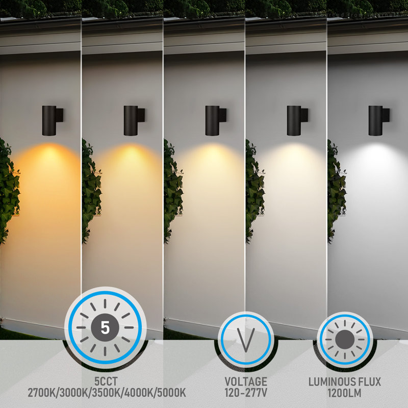 12 Inch 5CCT LED Outdoor LED Cylinder Down Wall Light, 15W, 100v-277v, Aluminum Waterproof Wall Sconce, ETL Exterior Light