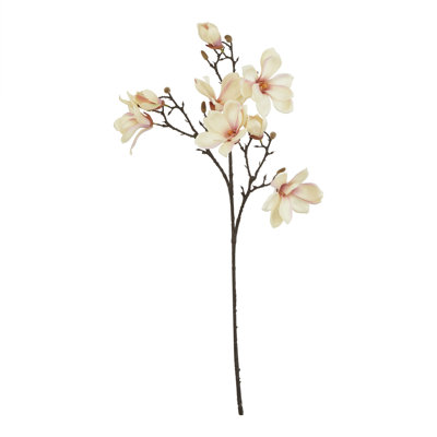 Anastasija Arrangement