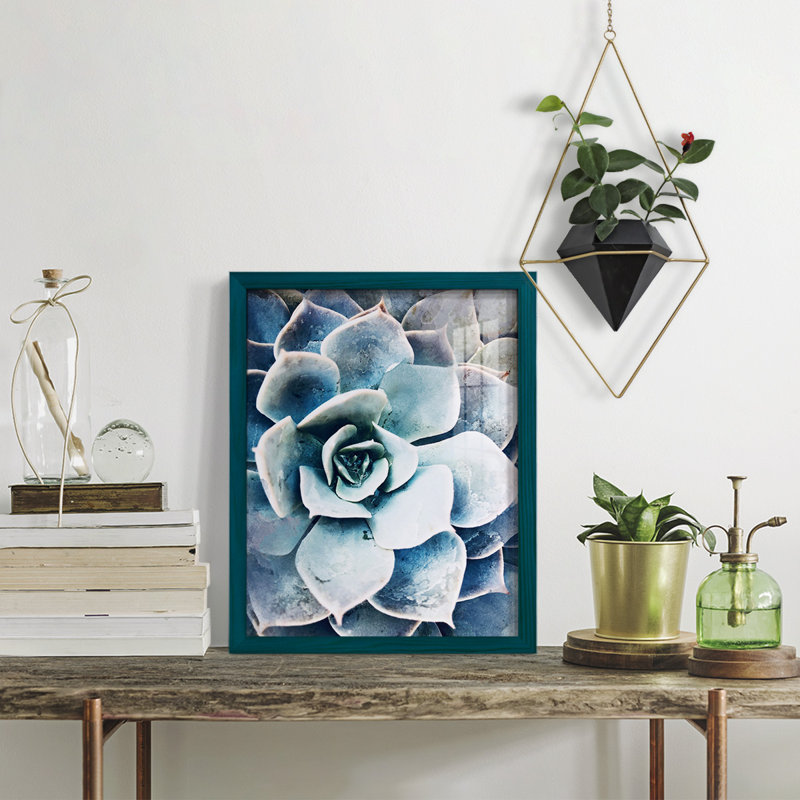 Pastel Succulent Beauty III, encadré sur papier, H 15 po x l 12 po x P 1 po, Bleu