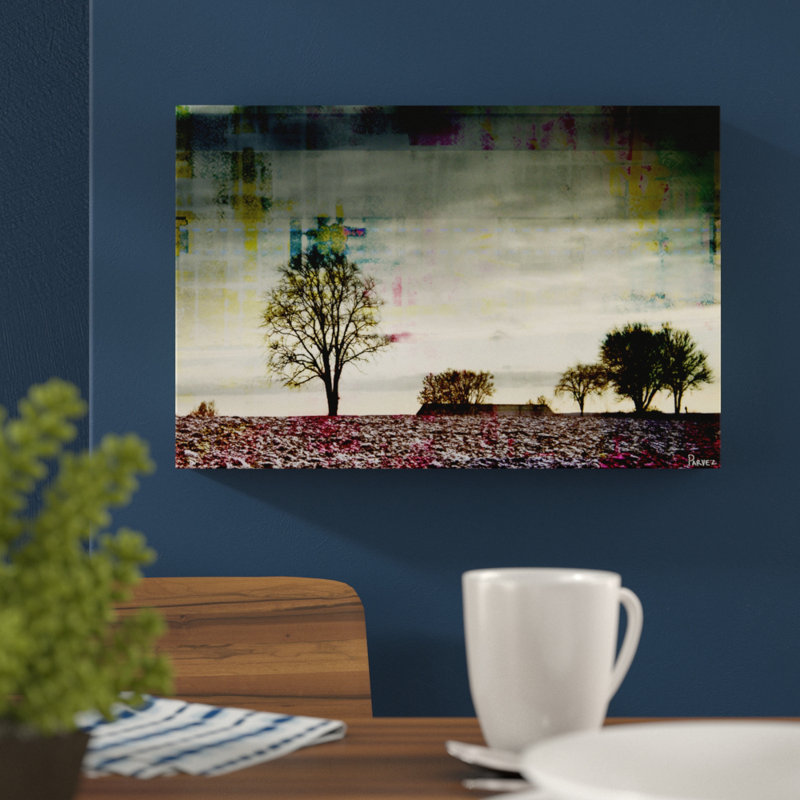 Parvez Taj - Wrapped Canvas Print, 30cm H x 45cm W x 5cm D