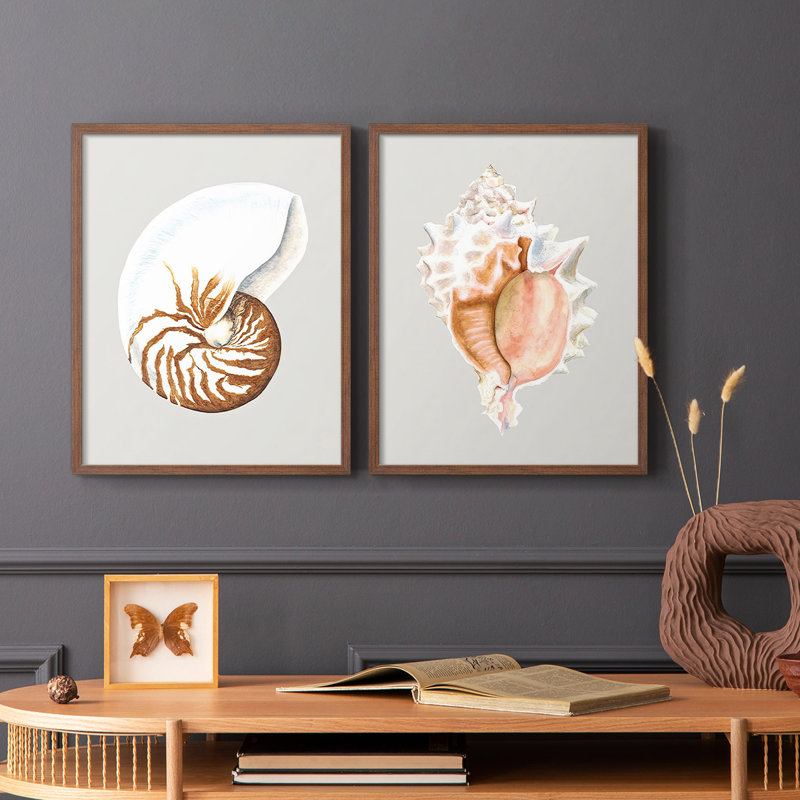 Nautilus - reproduction encadrée de qualité supérieure - prête à être accrochée - aucun clou requis - aucun clou requis