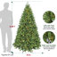 Arbre de Noël épinette pré-éclairé-1816811368