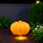 Solar-powered Pumpkin Light-119182558
