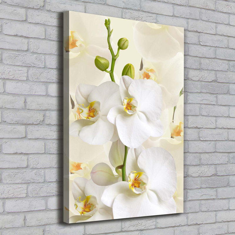 White Orchid - Wrapped Canvas Print