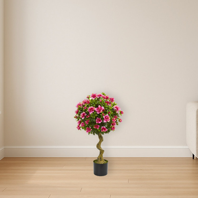 Azalea Topiary Tree