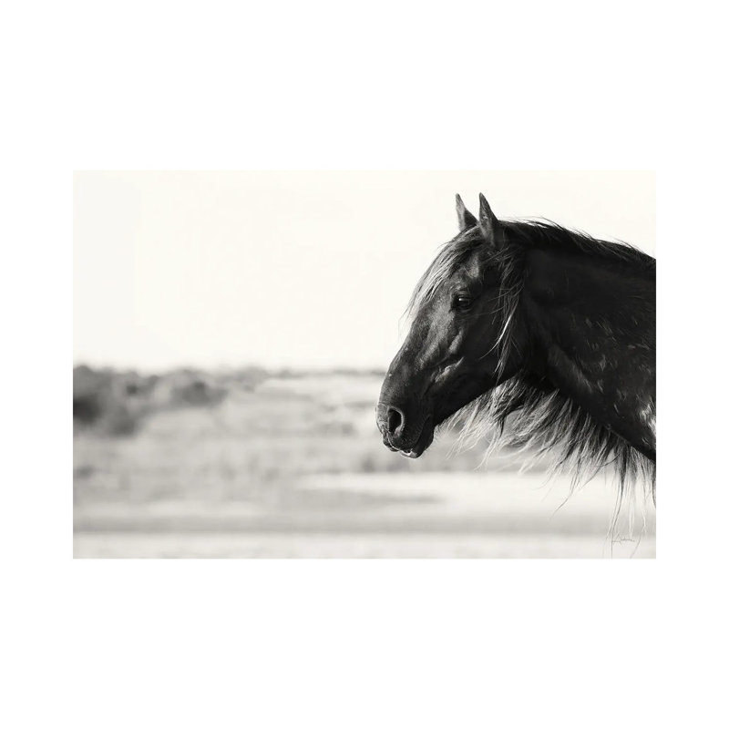 Pretty Girl by Aledanda - Wrapped Canvas Print, 20.32 cm H x 30.48 cm W