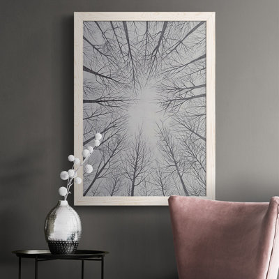 " Deciduous Canopy II "