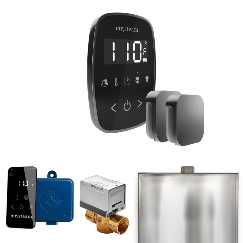ButlerFlex Max Steam Shower Control Package with TempoFlex Control and Steamhead , Black/Satin Steel