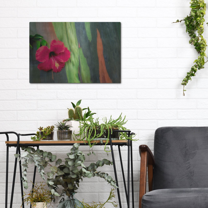 «Hibiscus» par Dennis Frates, H 12 po x l 16 po