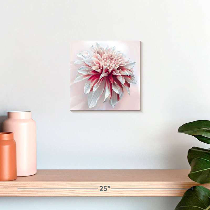 Harnek Red White Dahlia