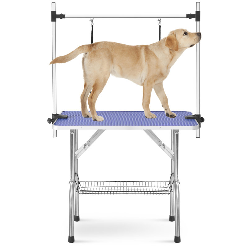 Table de toilettage pour animaux avec pattes pliantes, Bleu, H 30 po x l 36 po x P 24 po