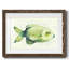 Poisson d'eau douce moucheté II-562122834-562123181