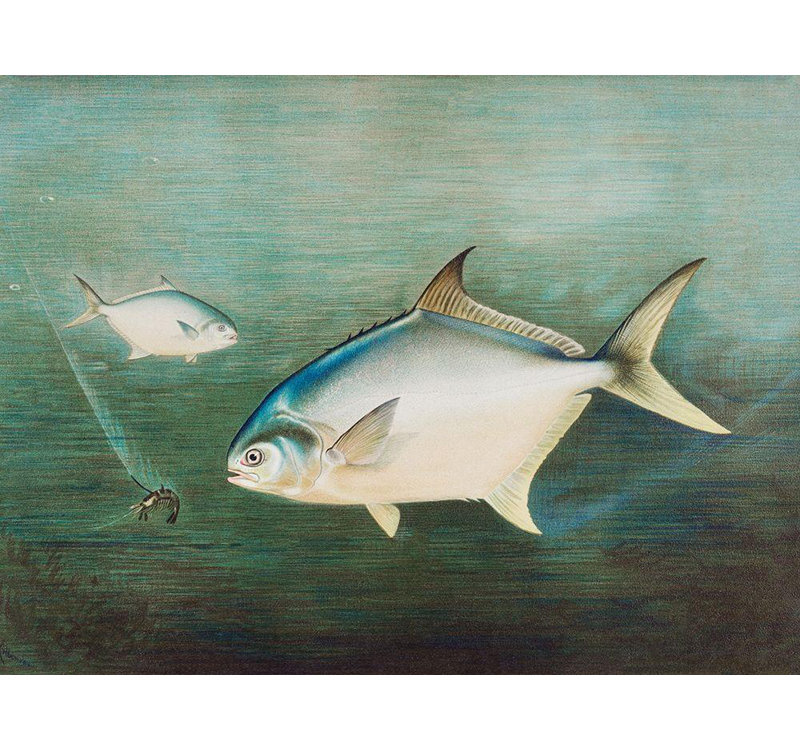 Reproduction d'art sur toile Beachcrest Home ™, Kilbourne, Samuel, Pompano, H 19 po x l 24 po