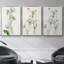 Ensemble de 3 pièces encadrées sur toile Late Summer Wildflowers I V30-97792828-97792829