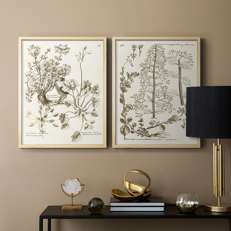 «Sepia Botanical Journal», reproduction encadrée de qualité supérieure - prête à être accrochée - aucun clou requis - aucun clou requis