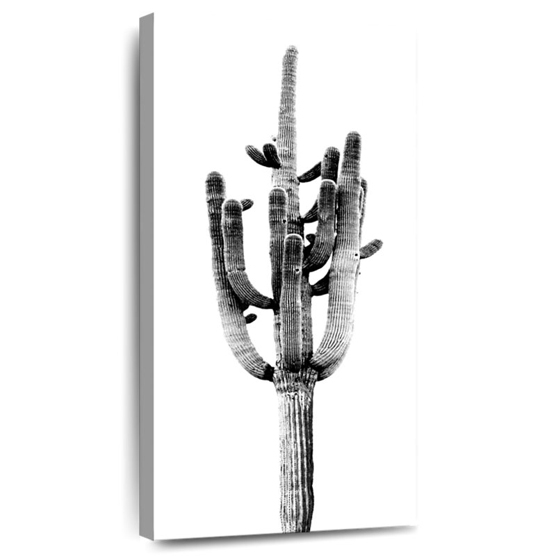 Saguaro noir et blanc II, H 24 po x l 12 po