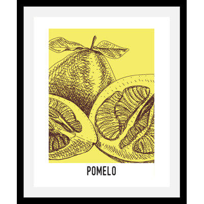 Pomelo - Single Picture Frame Print