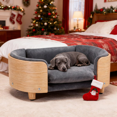 Canapé pour chien de style scandinave pour chien - Lit surélevé pour chien de taille moyenne avec pieds en bois massif, dossier en bois courbé et coussin en velours moelleux | Décoration moderne pour la maison