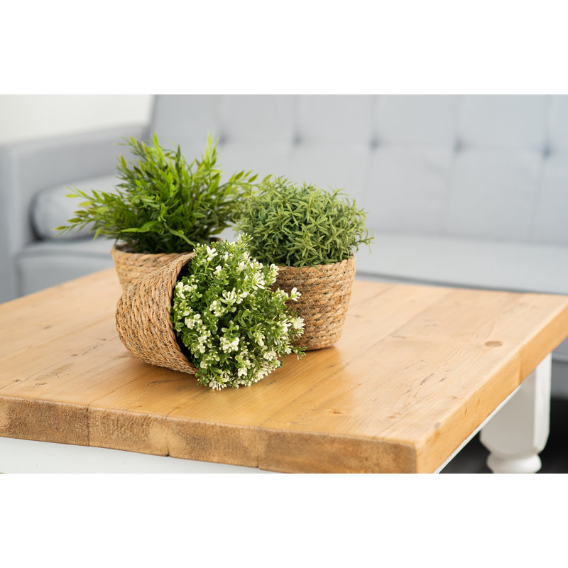 Walbourne Pot Planter, 8.50cm H x 12cm W x 14cm D