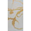 Golden Silhouette I Print by Beverly Fuller-26673058