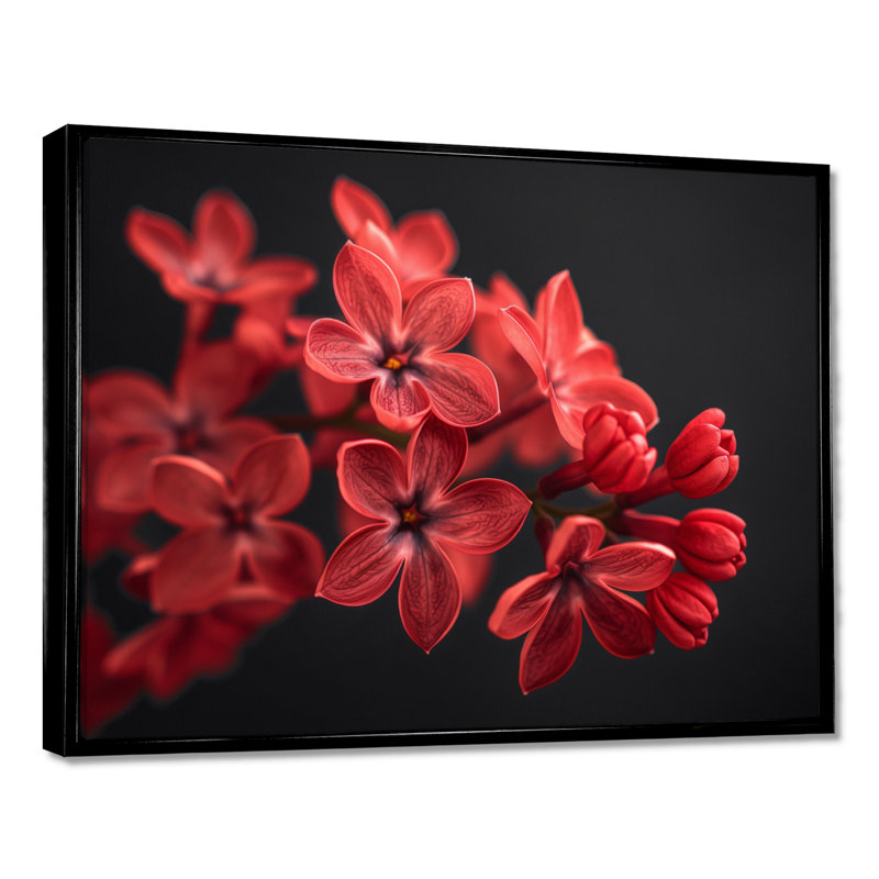 «Red Black Romantic Lilac Beauty», reproduction d'art lilas, Cadre simple noir, H 12 po x l 20 po