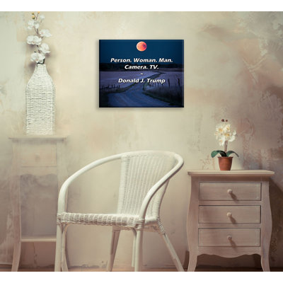 Artsy Quote ""Person. Woman. Man. Camera. TV."" By Donald J. Trump Gallery Wrapped Canvas -  Ivy Bronx, 6B2107420C144718B0EEACB0B7B8D6E4