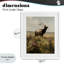 «Elk in the Wildflower Meadow», reproduction sous verre encadrée, design par Arlington Prints-130826225-130826230