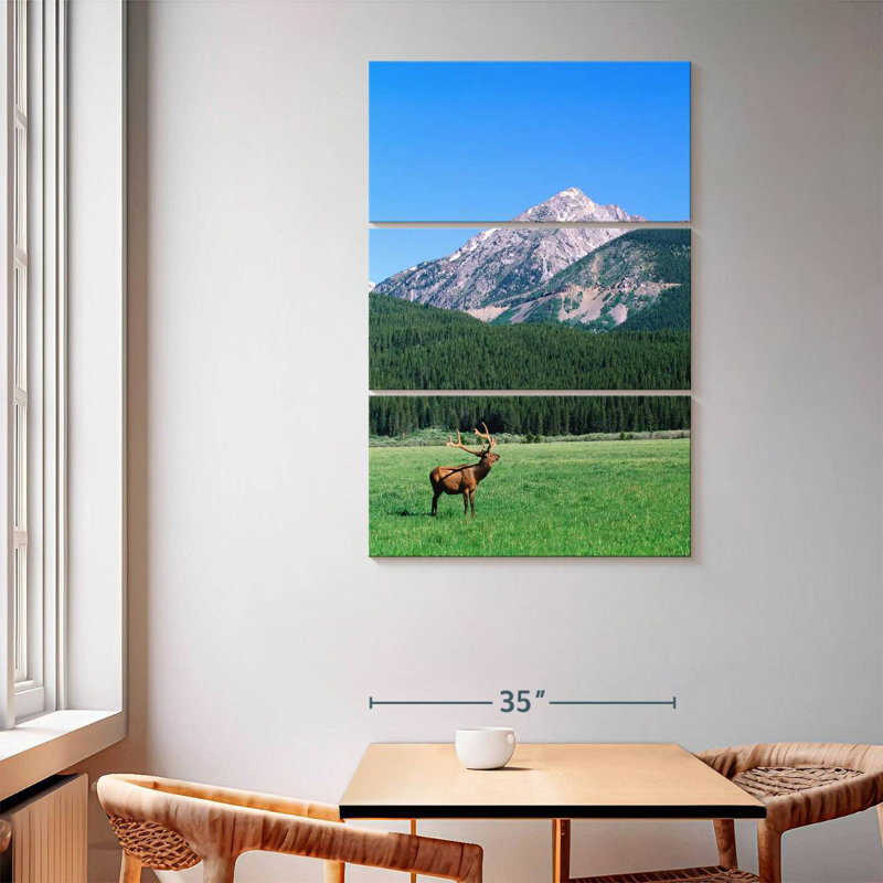 Brampt Coyote Valley Elk, 65" H x 42" W