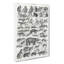 Study Of Mammals LII by Oliver Goldsmith - Wrapped Canvas-55337974