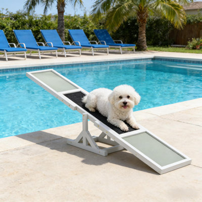 Pet Agility Seesaw, 70.75" x 11.75" x 11.75", Fir Wood, 1 Piece, Dog Agility Training Equipment, Black/Gray/White, Anti-Slip Surface for Dogs up to 66 lbs