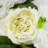 Wall Panel Arrangement Artificial Flower Wall Background-963902185