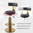 Cravets Stainless Steel Bar Stools with Back Modern Adjustable Barstools Swivel Bar Chairs（1PCS）-1640288241
