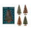 Brosses en sisal avec base en bois