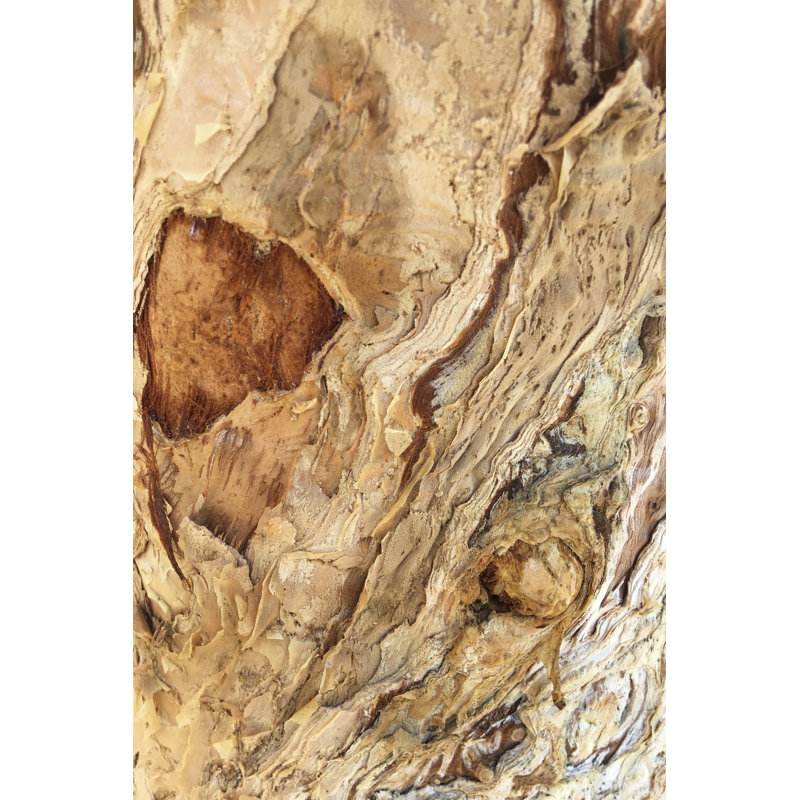Triangle de texture d'arbre II, H 18 po x l 12 po x P 1,25 po