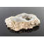 Jewelery Box +
