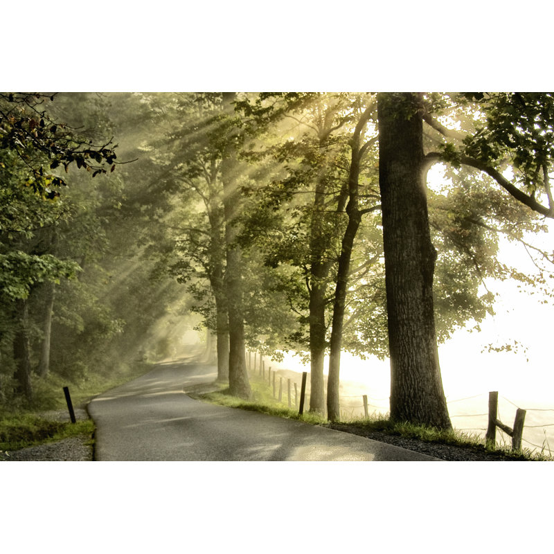 Fresh Morning II, H 32 po x l 48 po x P 1,25 po