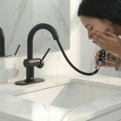 Robinet de salle de bain à poignée simple avec douchette à double fonction, noir mat, robinet de lavabo monotrou