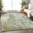 Machine Washable Indoor/Outdoor Xhevrie Aloe Rug-2075756255