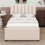 Upholstered Platform Bed With Trundle-1800928857