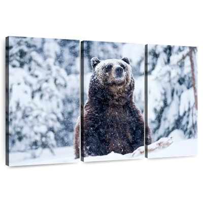 Brampt Grizzly Bear In Snow