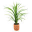 38 po Dracaena artificiel en pot