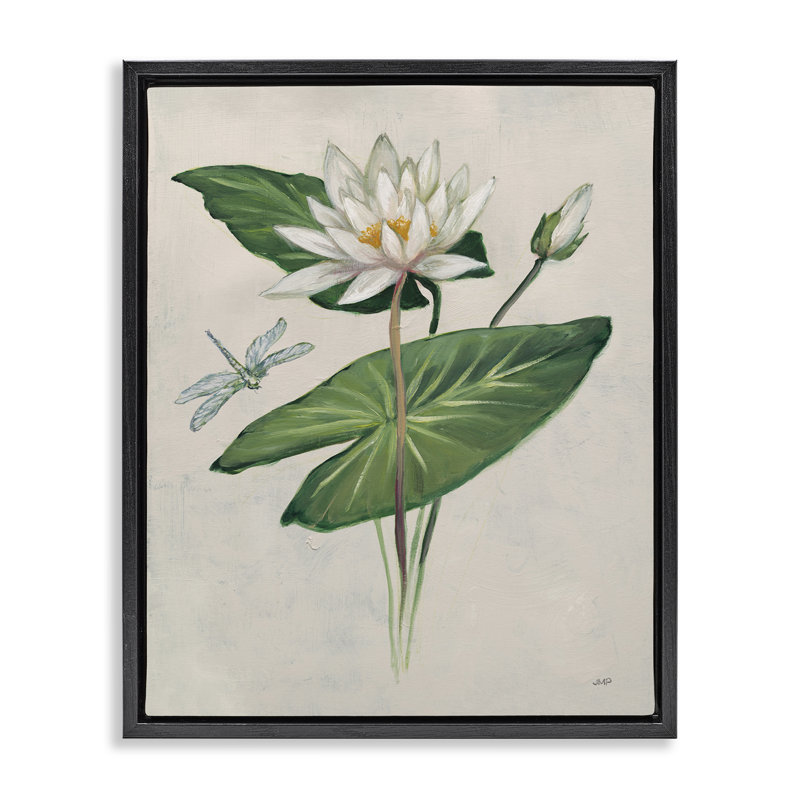  Graceful Lily Pad Floater Canvas Wall Art by Julia Purinton, Cadre flottant noir de jais, H 21 po x l 17 po
