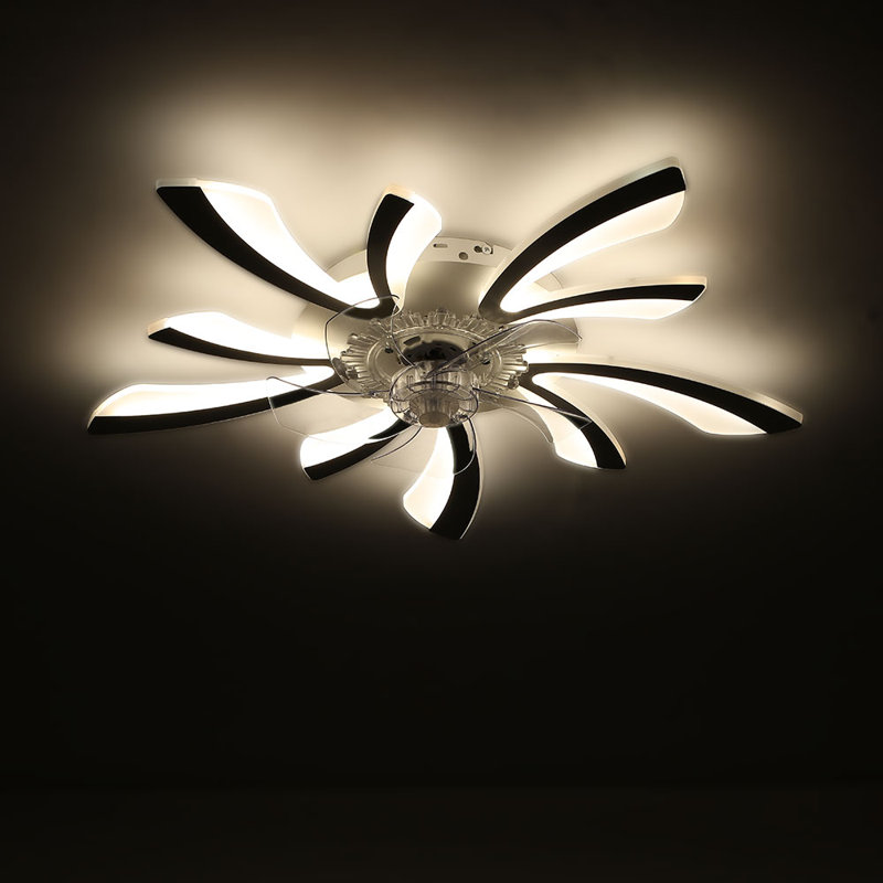 Ceiling Fan with LED Lights