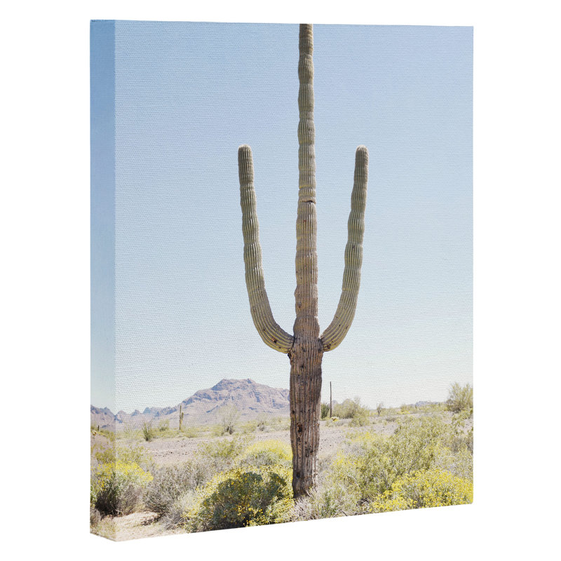 «Lone Cactus» par Bree Madden - reproduction de photo, H 10 po x l 8 po x P 2 po, Toile tendue, Pas de tapis