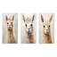 Minimalisme grunge Alpaca Portrait - Alpacas, ensemble de 3 reproductions d'art en métal-1493967778