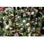 2 Piece Tabletop Tealight Holder Set