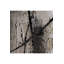 Enver Wall Decor